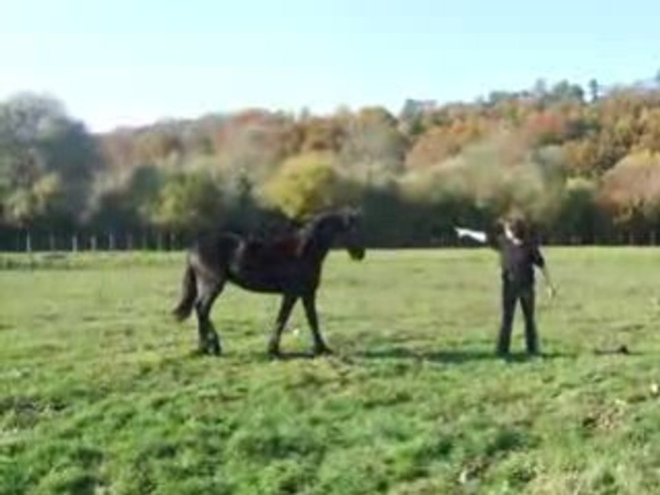 Marie-travaille-son-autorité