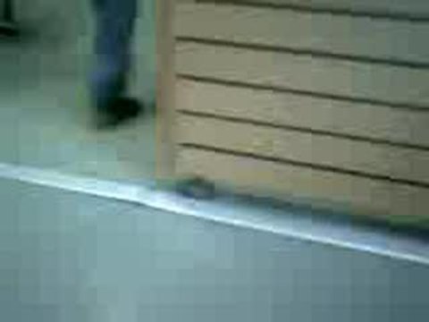 MdR kentin é françois a mermoz