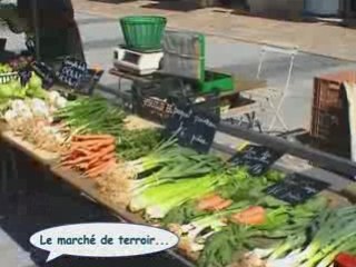 Visiter Castres en couple