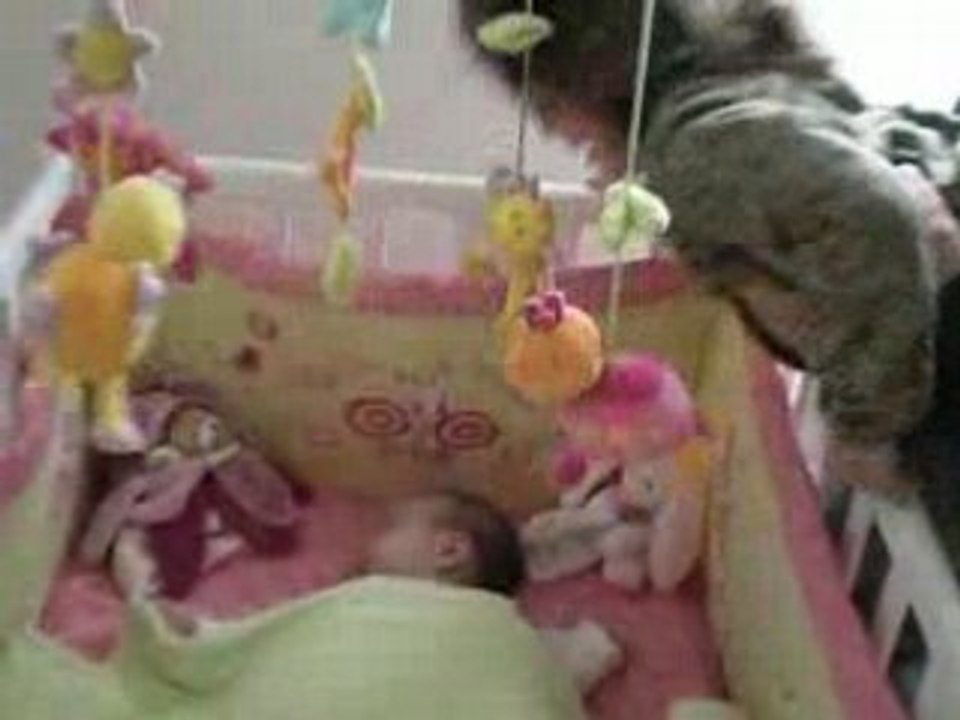 Lilou 27 mois - Neela 1 mois 1/2