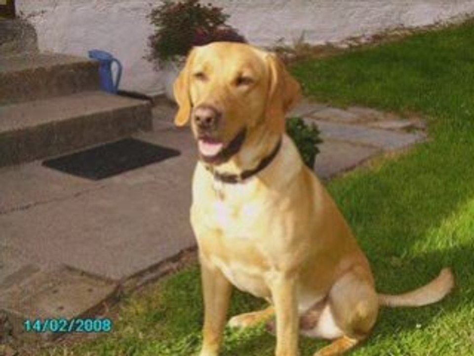 VIDEO FOTO DES POTES DU BLOG