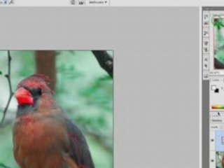 120 UAP - Curves in LAB