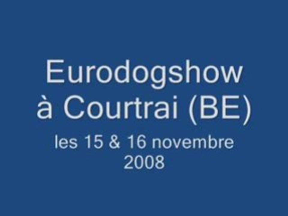 44 = Eurodogshow à Courtrai les 15 & 16 novembre 2008