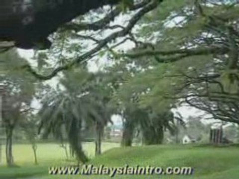 Taiping Lake View 11