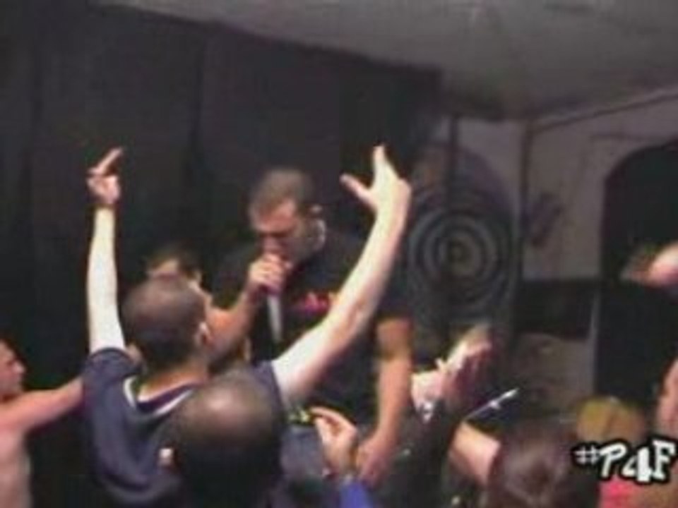 Brigata cani da birra skinhead war