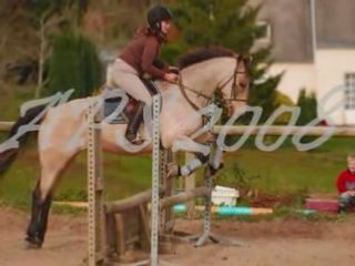 Concours 9 novembre, montage...