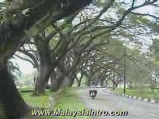 Taiping Lake View 12