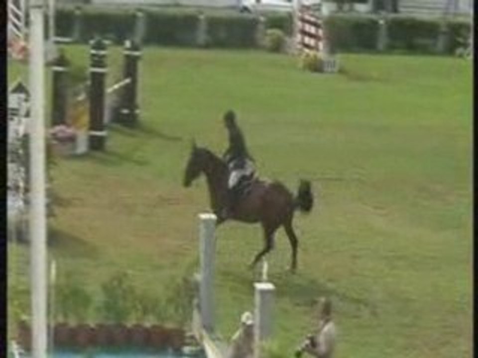 Dorina (By: Diamant de Semilly) 5 years old