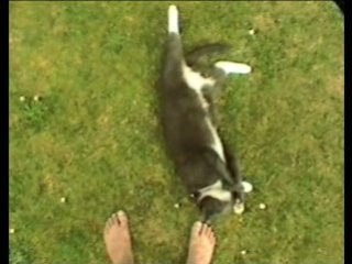 02:04 (Daniel Strang)