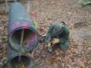 Greg se fait massacrer par Ratchek