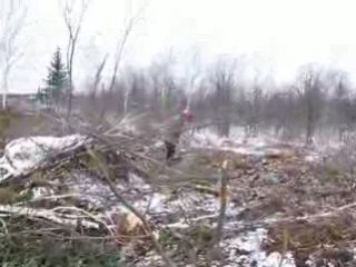 orignal à st-charles