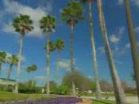 Buena Vista Suites Video Tour