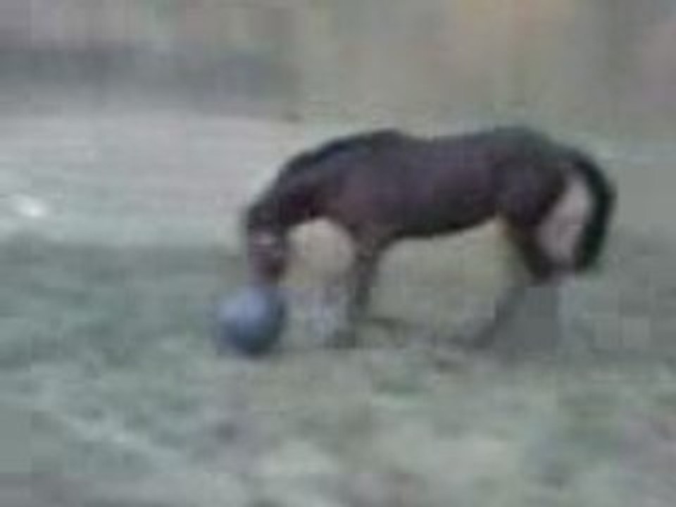 Lover Boy joue au soccer 3