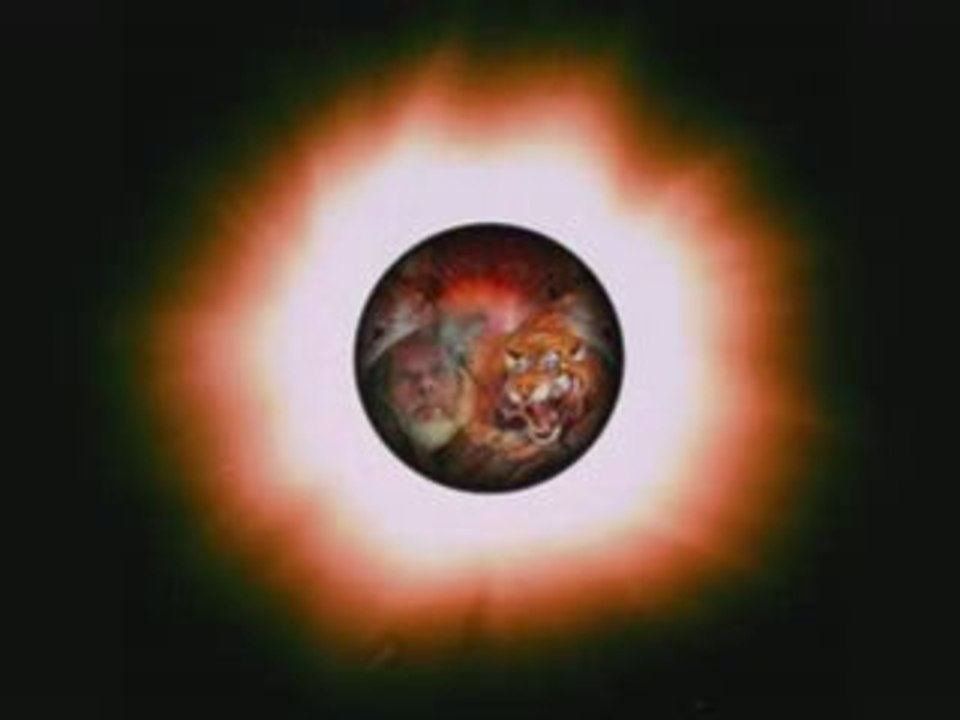 Günni - Mein Liebeslied