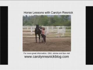 Horse Lessons with Carolyn Resnick