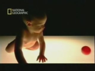 Desarrollo del lenguaje: Modelo para robots (MIT)