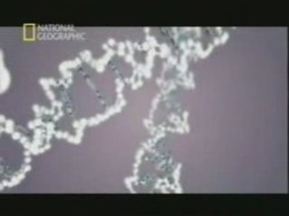 Origen del lenguaje: Gen FoxP2 - Vídeo Dailymotion