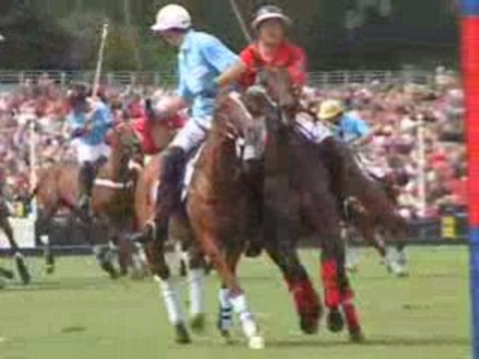 Polovida Spécial Angleterre