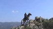 Sardegna Trekking a cavallo
