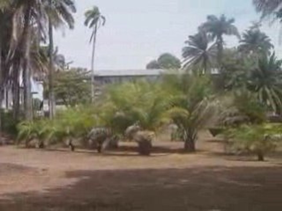 jardin botanique cayenne 5