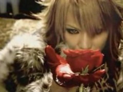 SCREW - Gather Roses