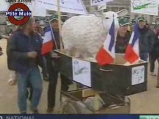 La manifestation des éleveurs