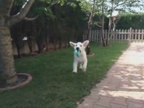 Scéance de Travail à 15 semaines