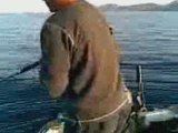 jigging en algerie-2-