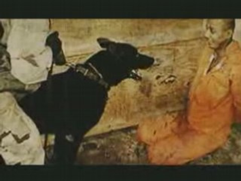 Casey - Dans Nos Histoires