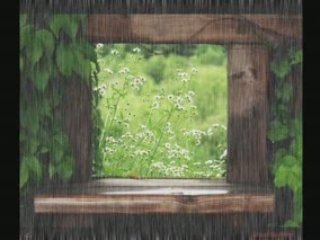 SMELL OF RAIN (Rita Celia Dini)