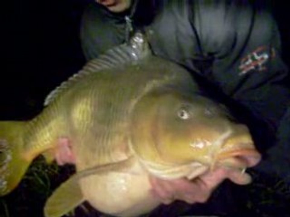 carpe de 13k500 canal a nancy le 18 11 2008