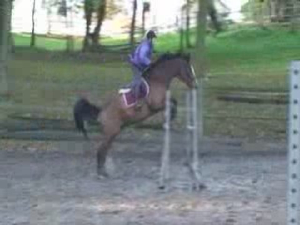 Stage Nathalie D'Orgeix Nov 2008