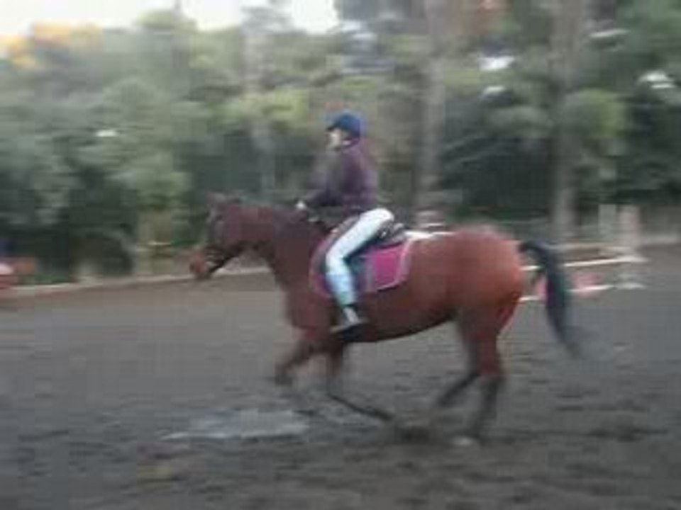 Saut [19/11/08]