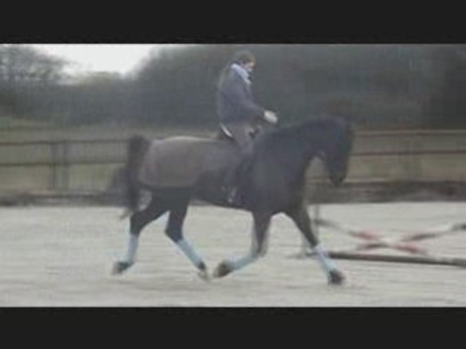 Don - 19 octobre 08