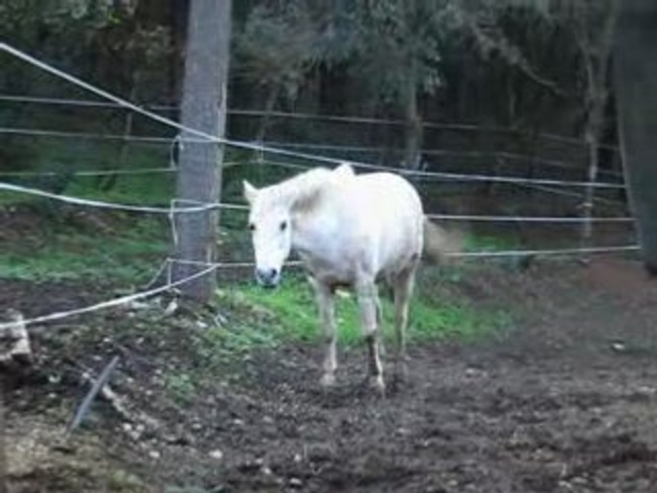 Bianca x)