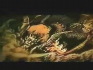 Ill Bill - Society is Brainwashed