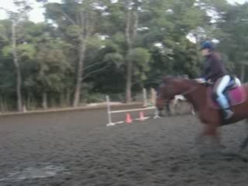 Saut [19/11/08]
