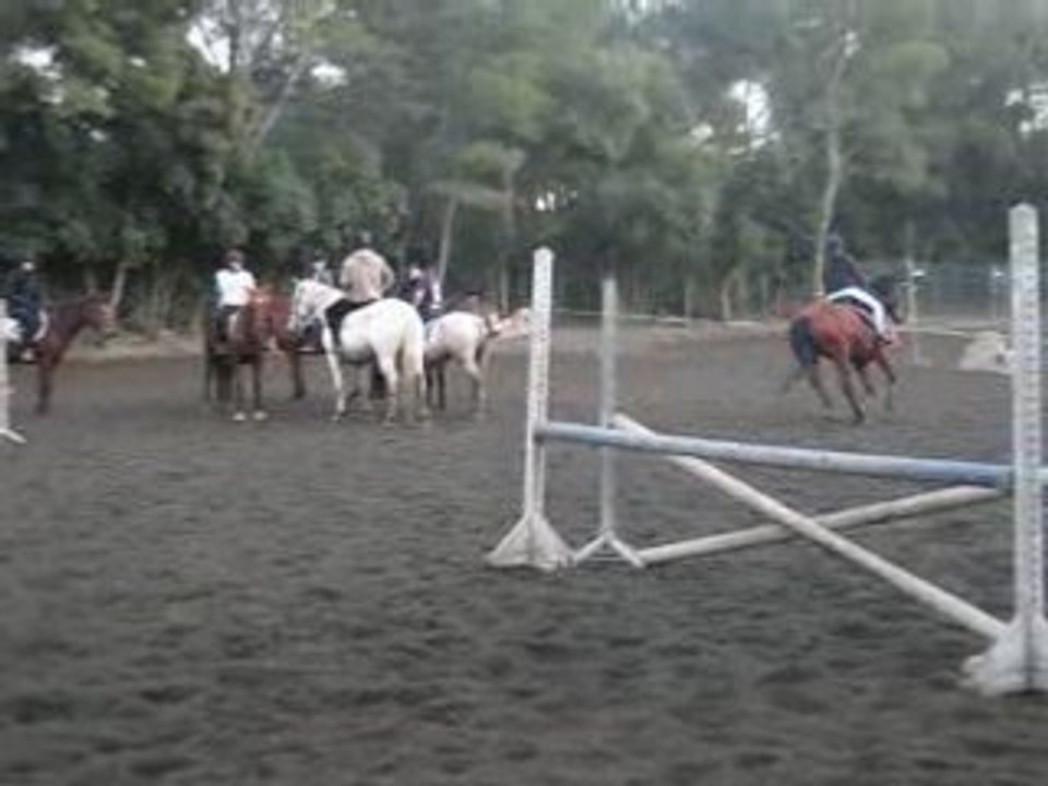 Saut [19/11/08]