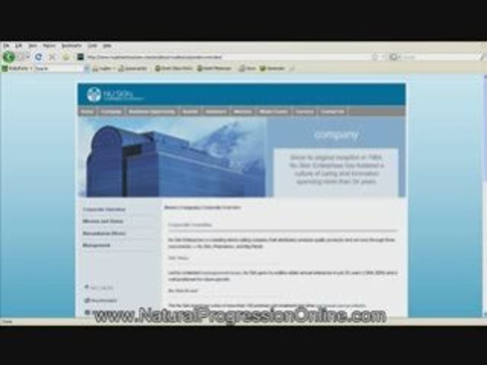 Is Nu Skin Enterprises A Scam?