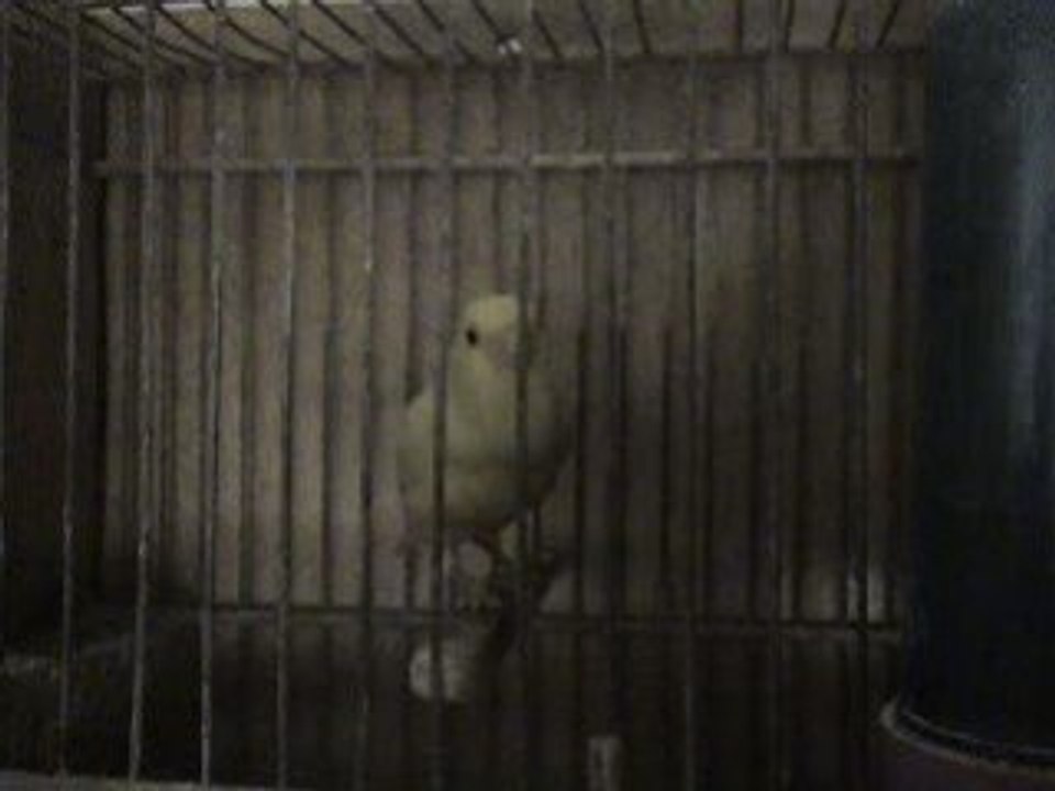 MOV00141
