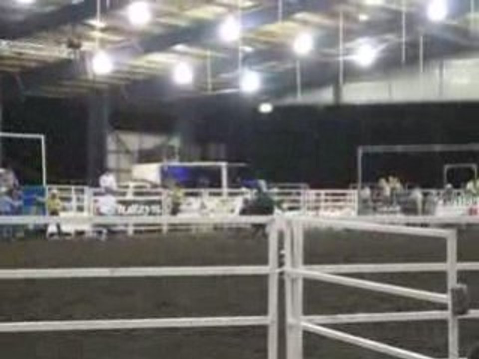 rodeo sur taureau
