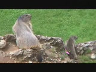 savines le lac location de meubl