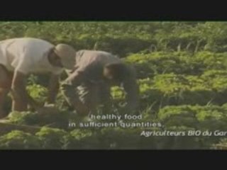 Nos enfants nous accuseront