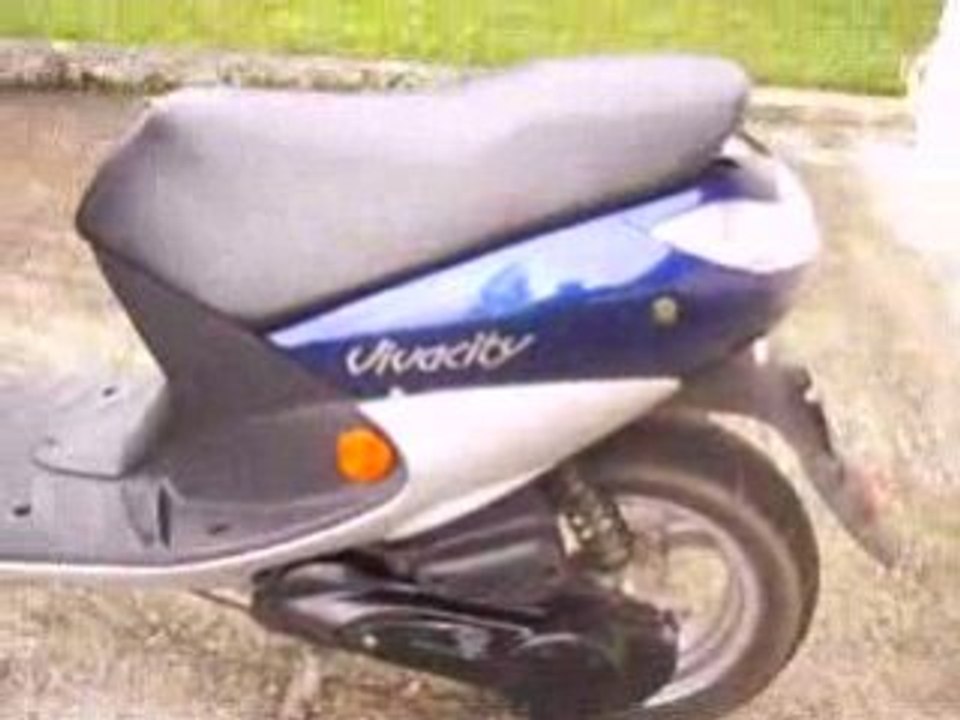 50 VIVACITY