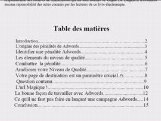 Les secrets de Google Adwords