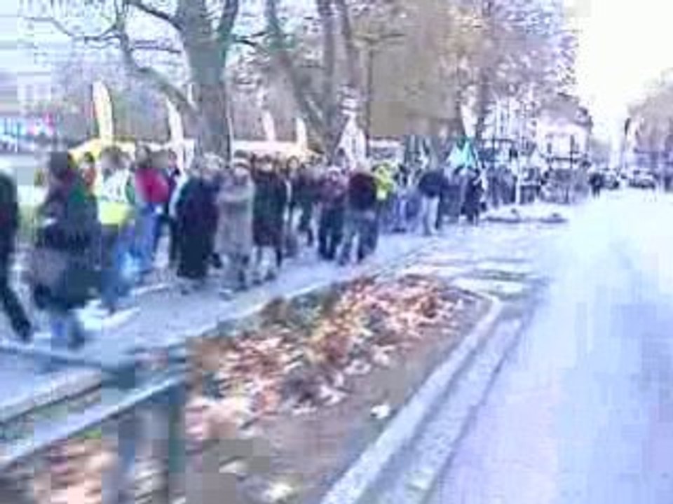 Manif Annecy du 20 novembre 2008