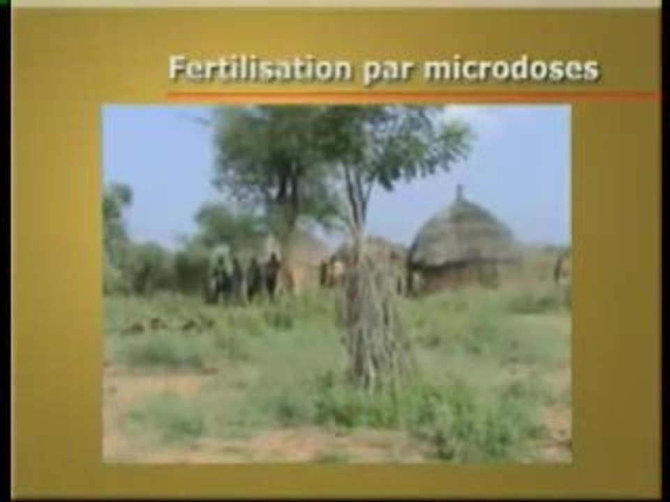Technique de Conservation des Sols