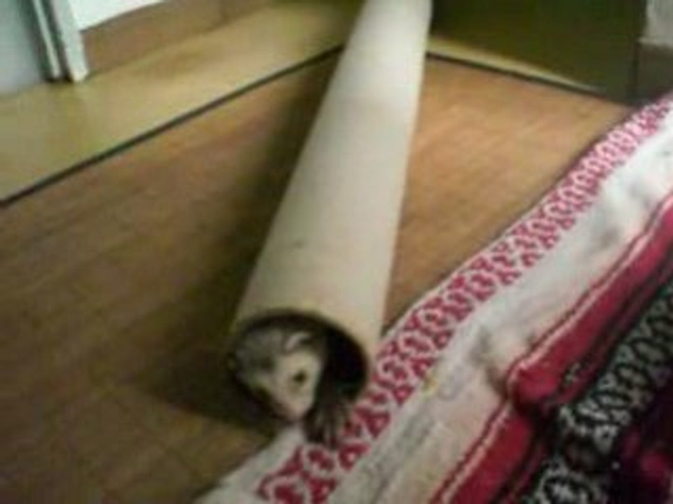 Mon fufu