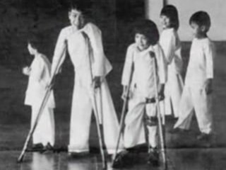 Consequences of Agent Orange in Vietnam