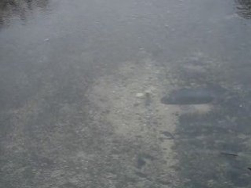 Fraie Truite Novembre 2008 ( Til-Châtel)